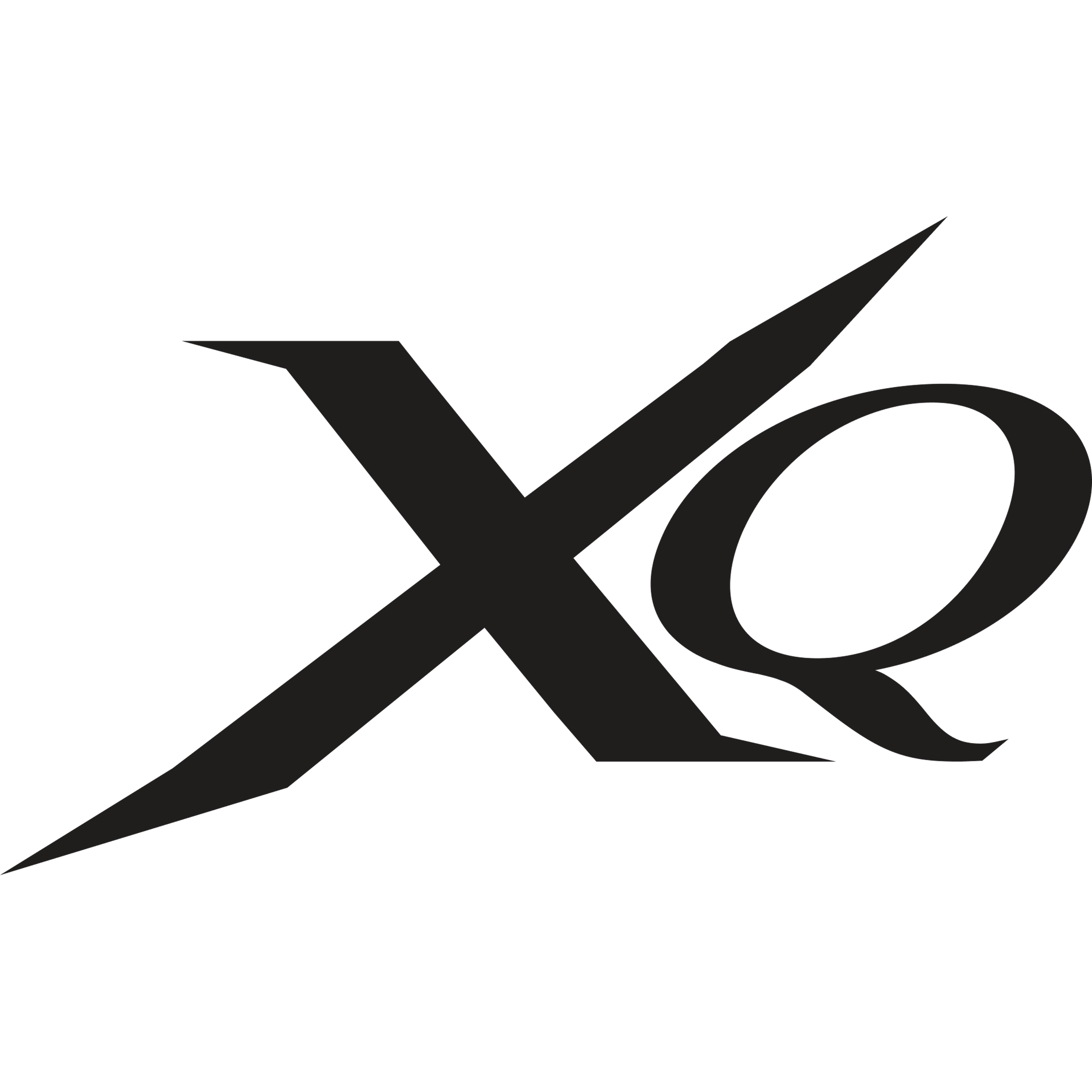 XQ Max Dart Flights