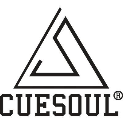 Cuesoul Darts