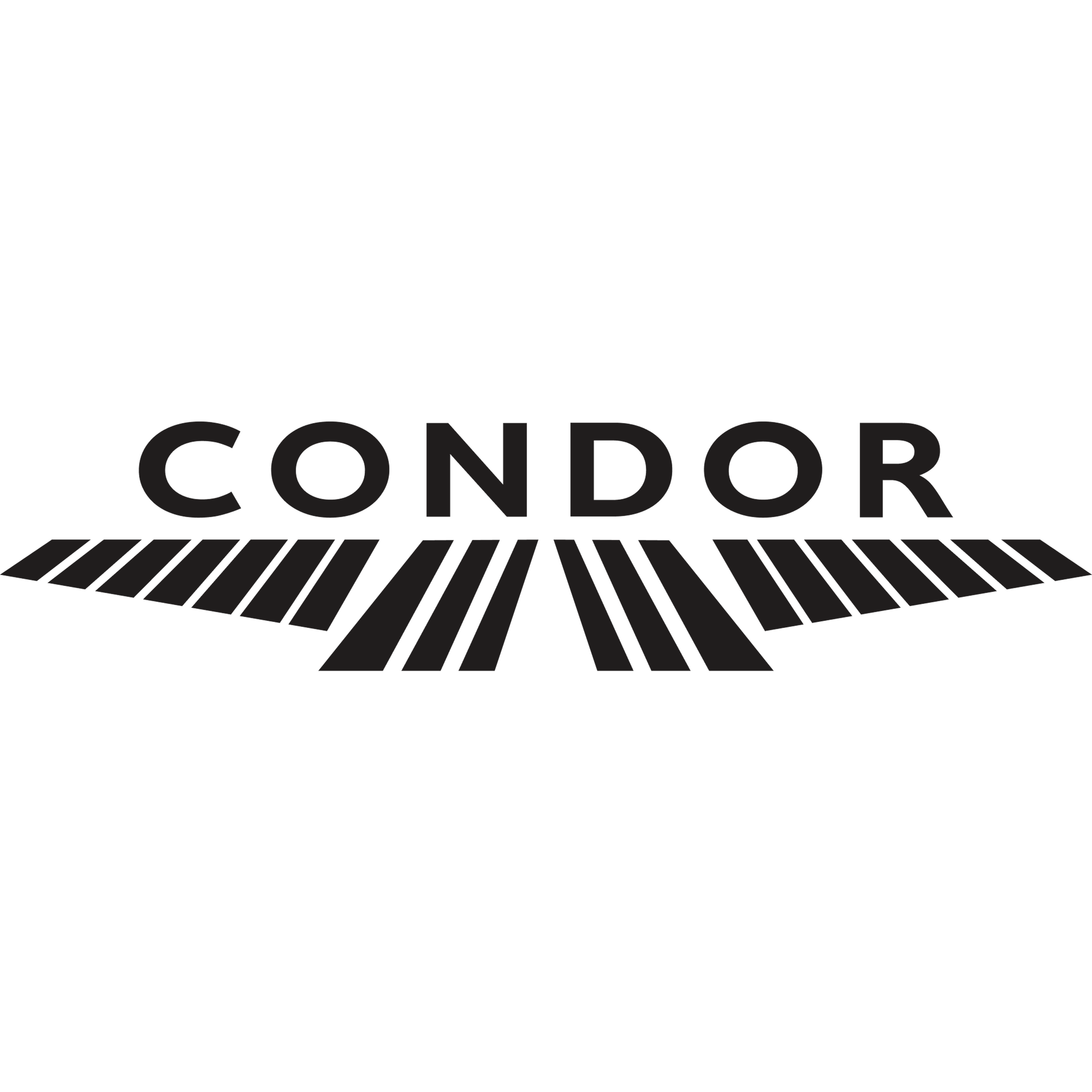Condor Flight System