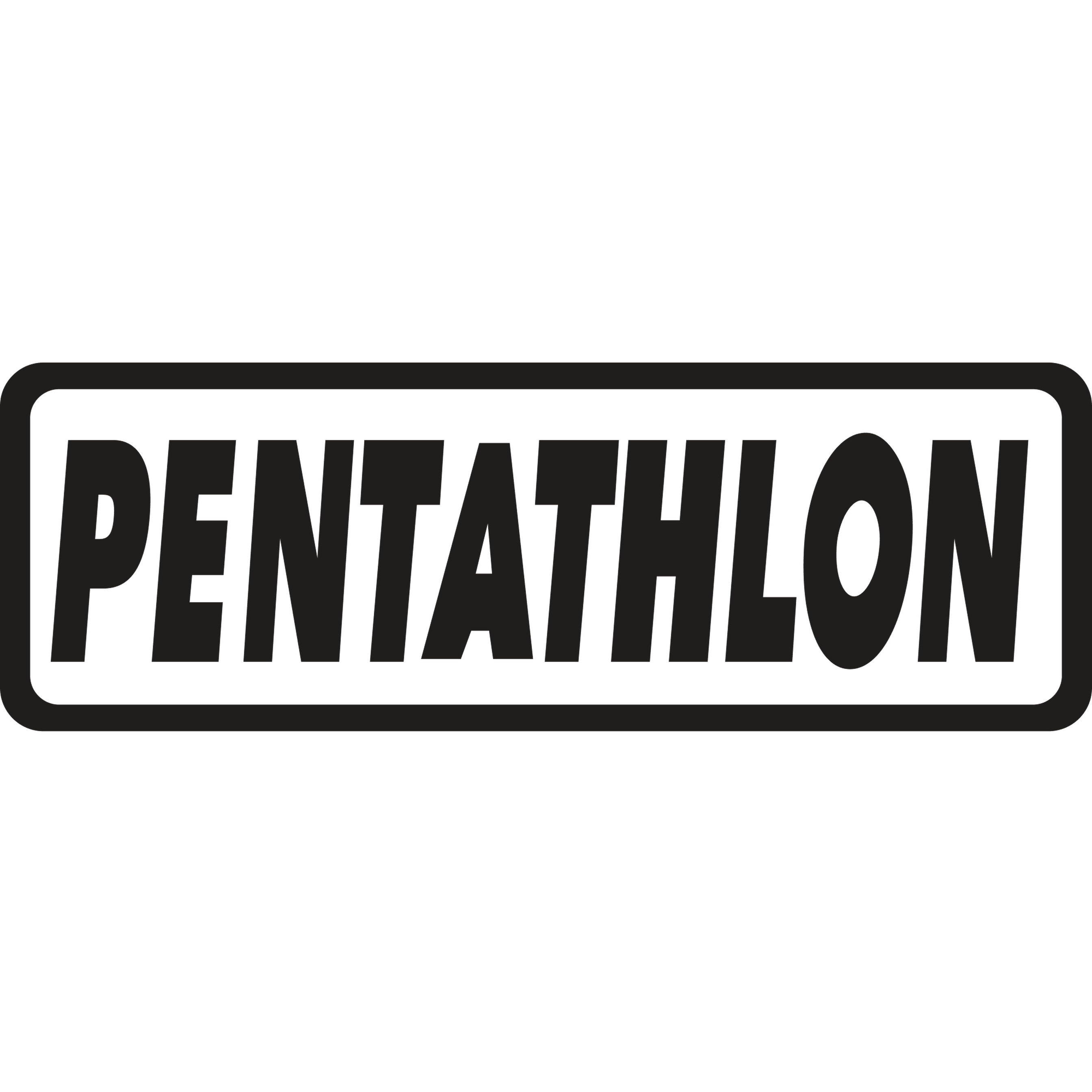 Pentathlon Dart Flights