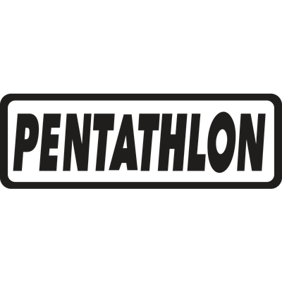 Pentathlon Dart Flights