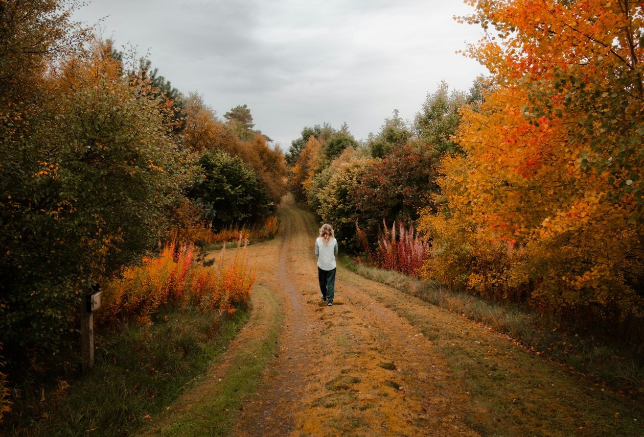 Person walking down a dirt road flanked by vibrant orange and green autumn trees under a gray sky.