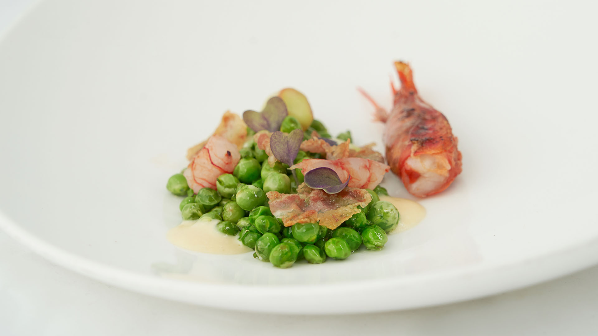 White plate with peas topped by crispy prosciutto, microgreens and a cooked prawn tail