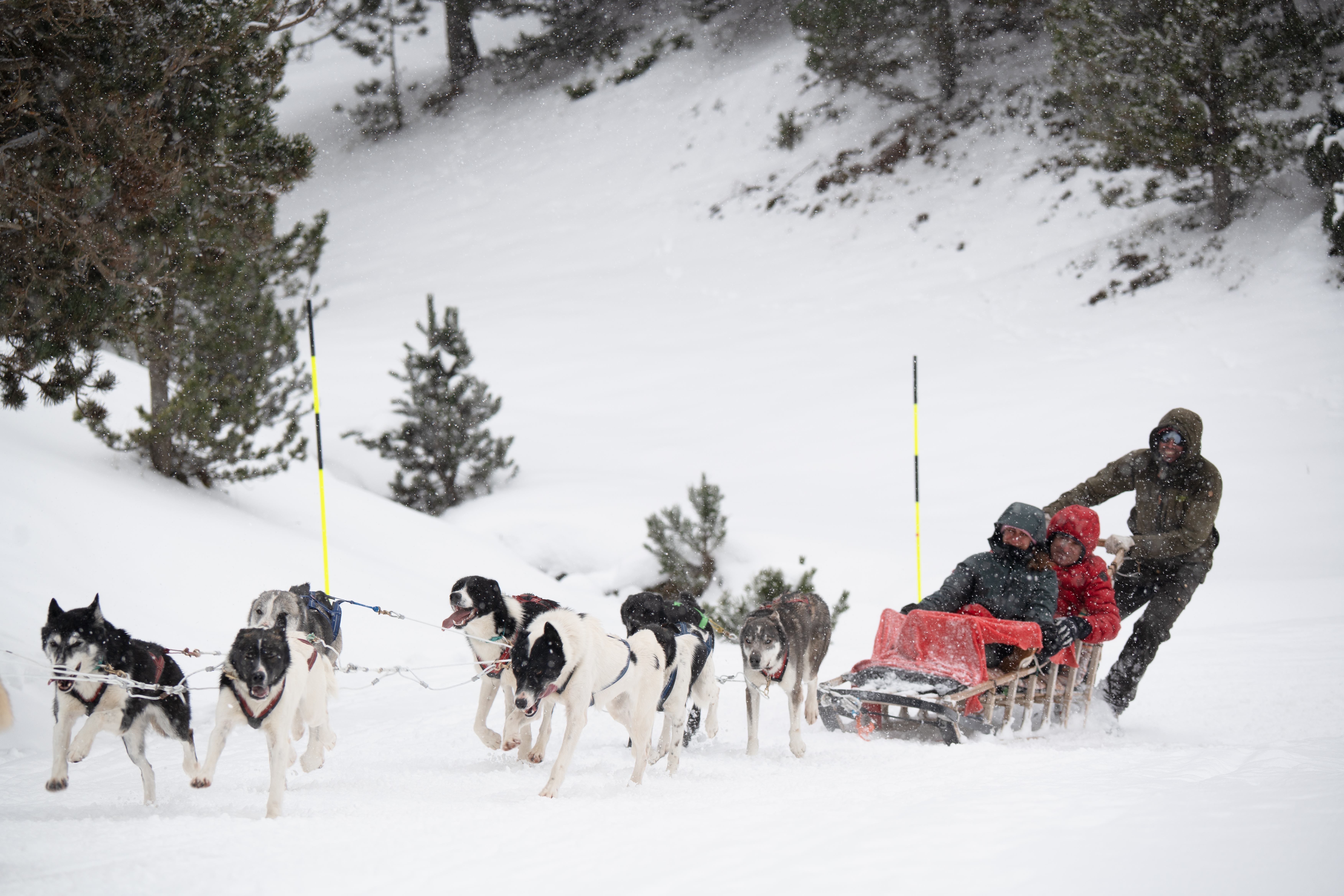 A team of sled dogs pulls a sleigh with three people through a snowy landscape, surrounded by trees. A person stands at the back guiding the sled.