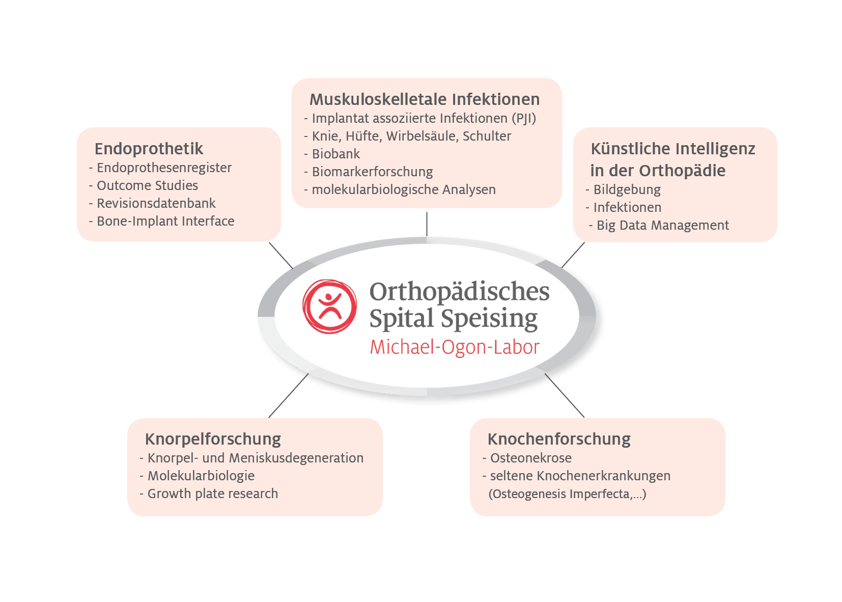 Forschungsgebiete Michael-Ogon-Labor