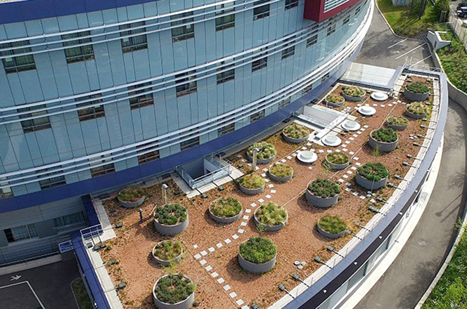 Außenansicht des Orthopädischen Spitals Speising mit einer begrünten Dachterrasse und runden Pflanzkübeln.