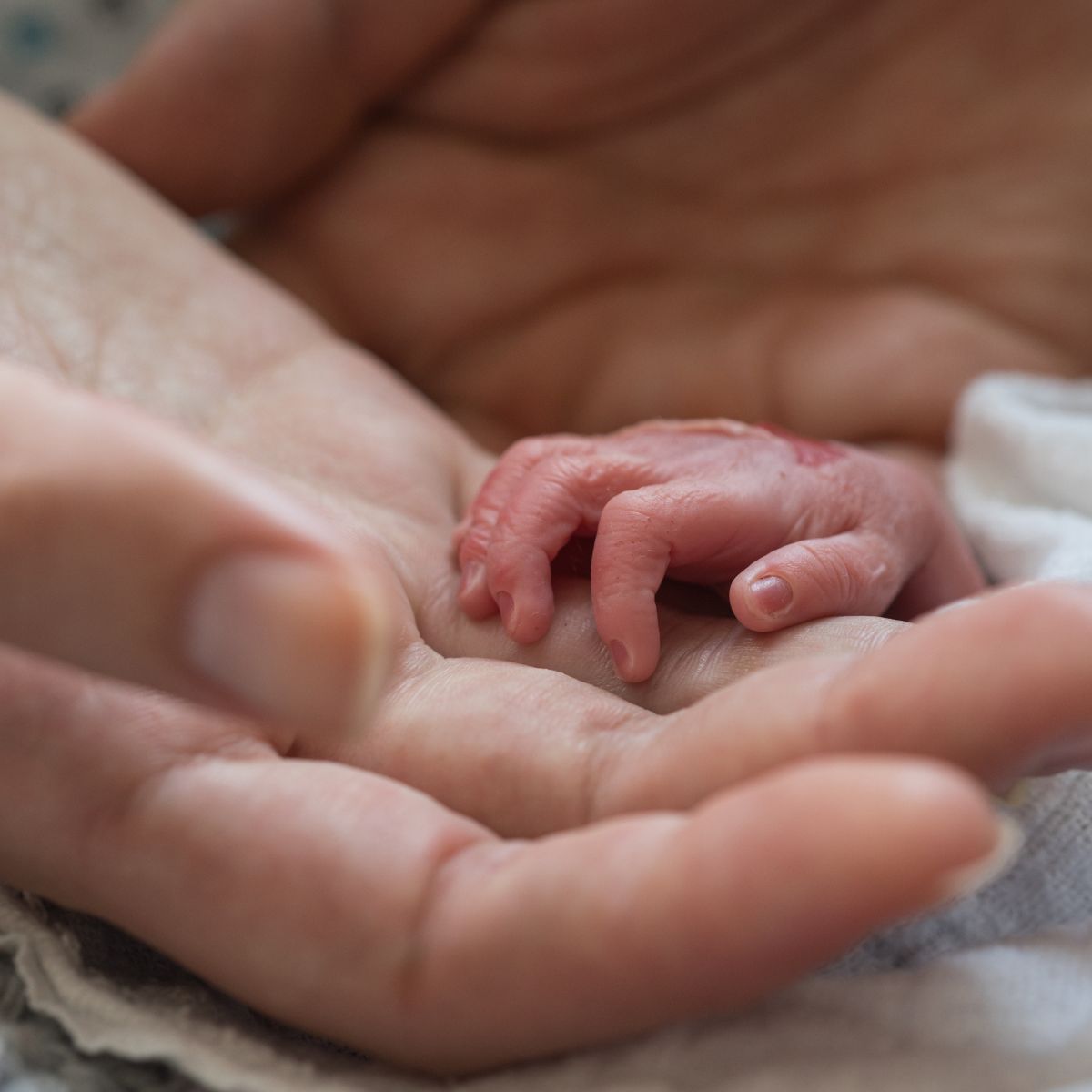 Die Hand eines stillgeborenen Babys ruht in der Hand seiner Mutter.
