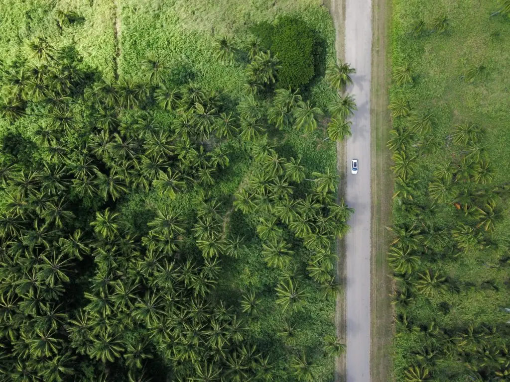 Car Traveling Through Forest 1024x768