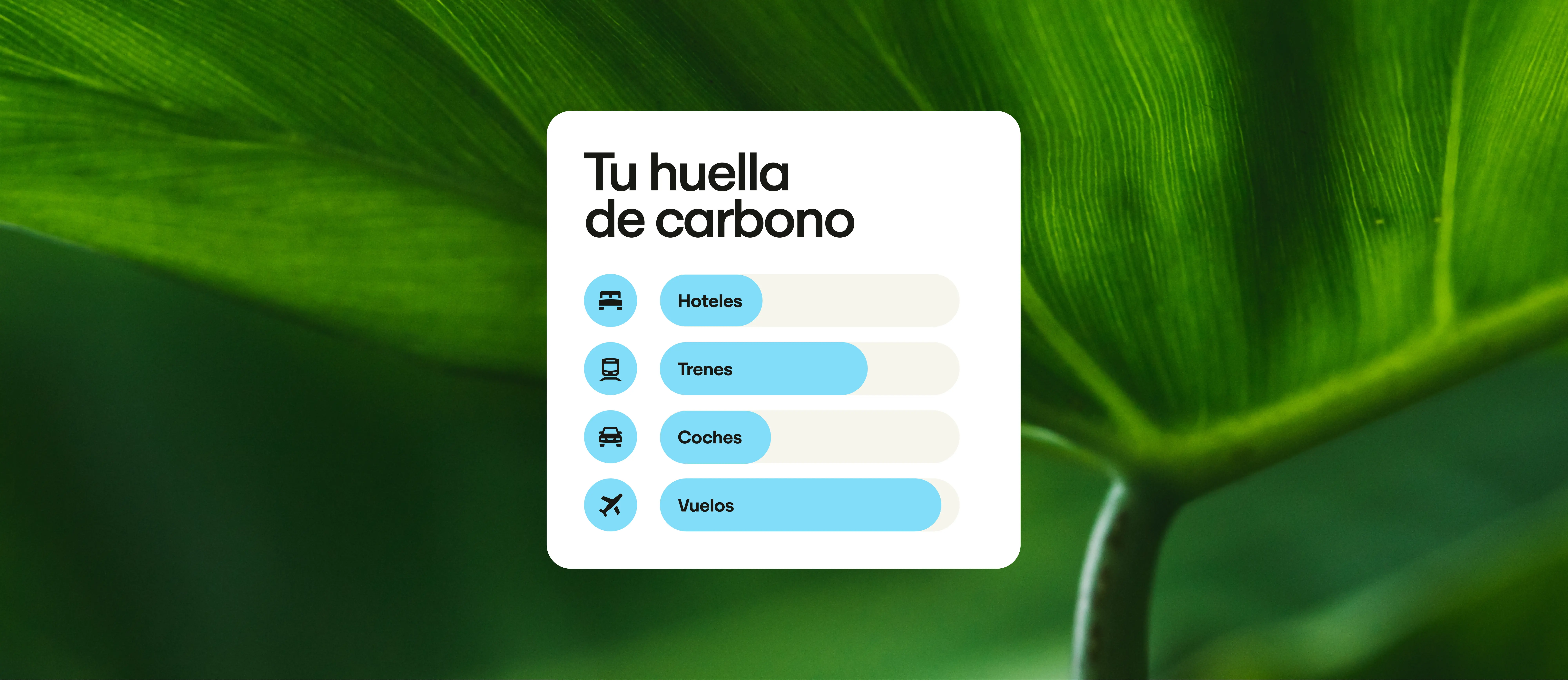 Es Sustainability