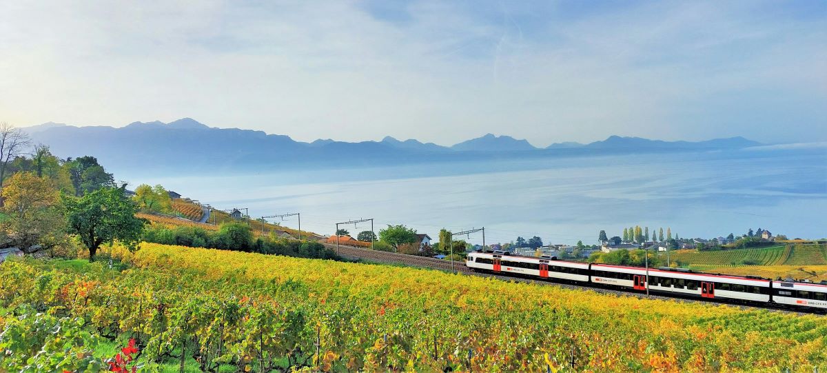 Zug fährt durch die Landschaft, im Hintergrund die Berge.