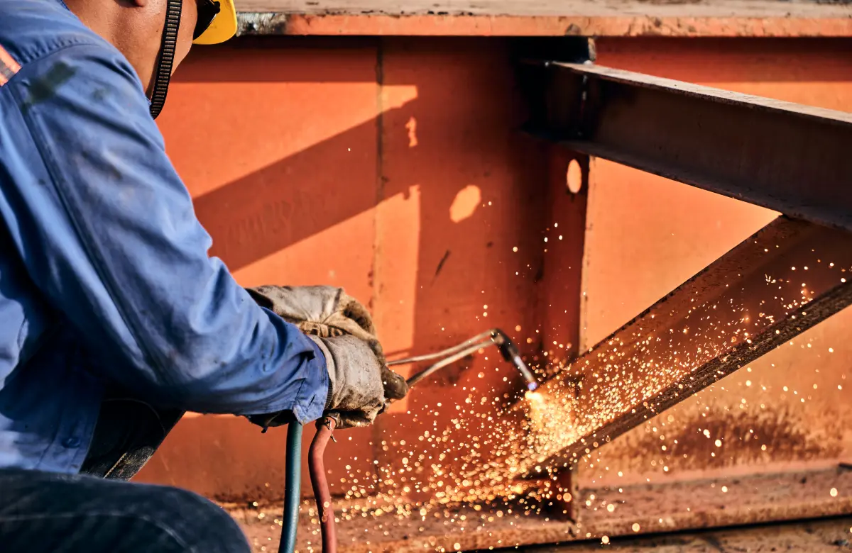 Medical And Baggage Insurance