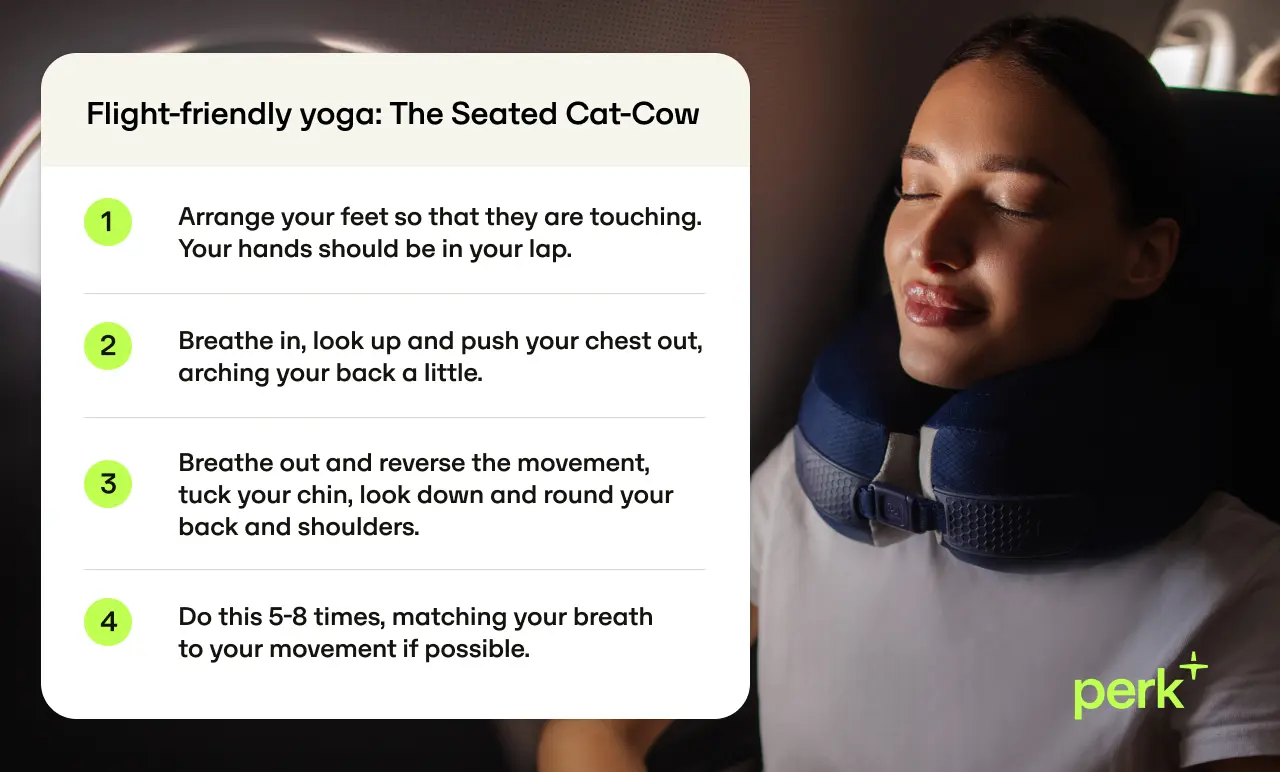 Woman doing seated yoga on a plane with a neck pillow, focusing on the "Seated Cat-Cow" sequence. Steps are listed on the side.