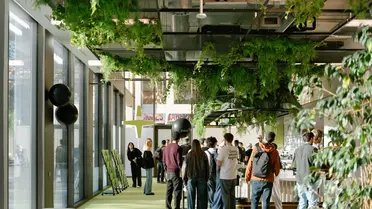 Perk implanta una incubadora interna para mantener la innovación en su crecimiento