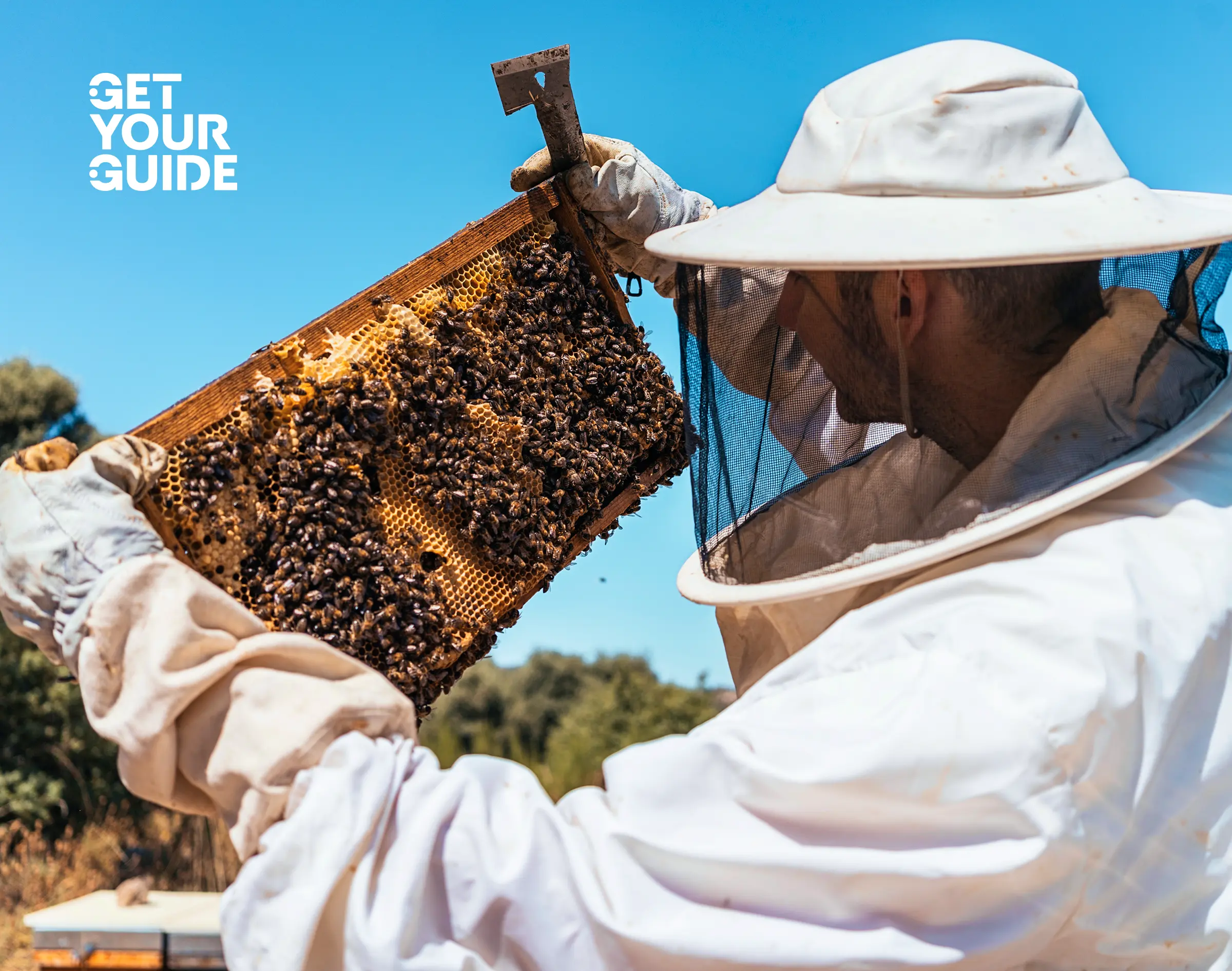 Get Your Guide New Logo