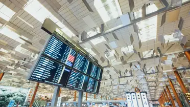 What can I do if my flight is canceled?