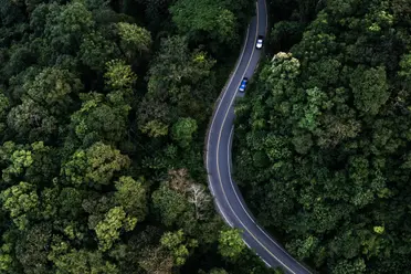 Aerial view of a winding road cutting through dense, green forest with two cars traveling along it.
