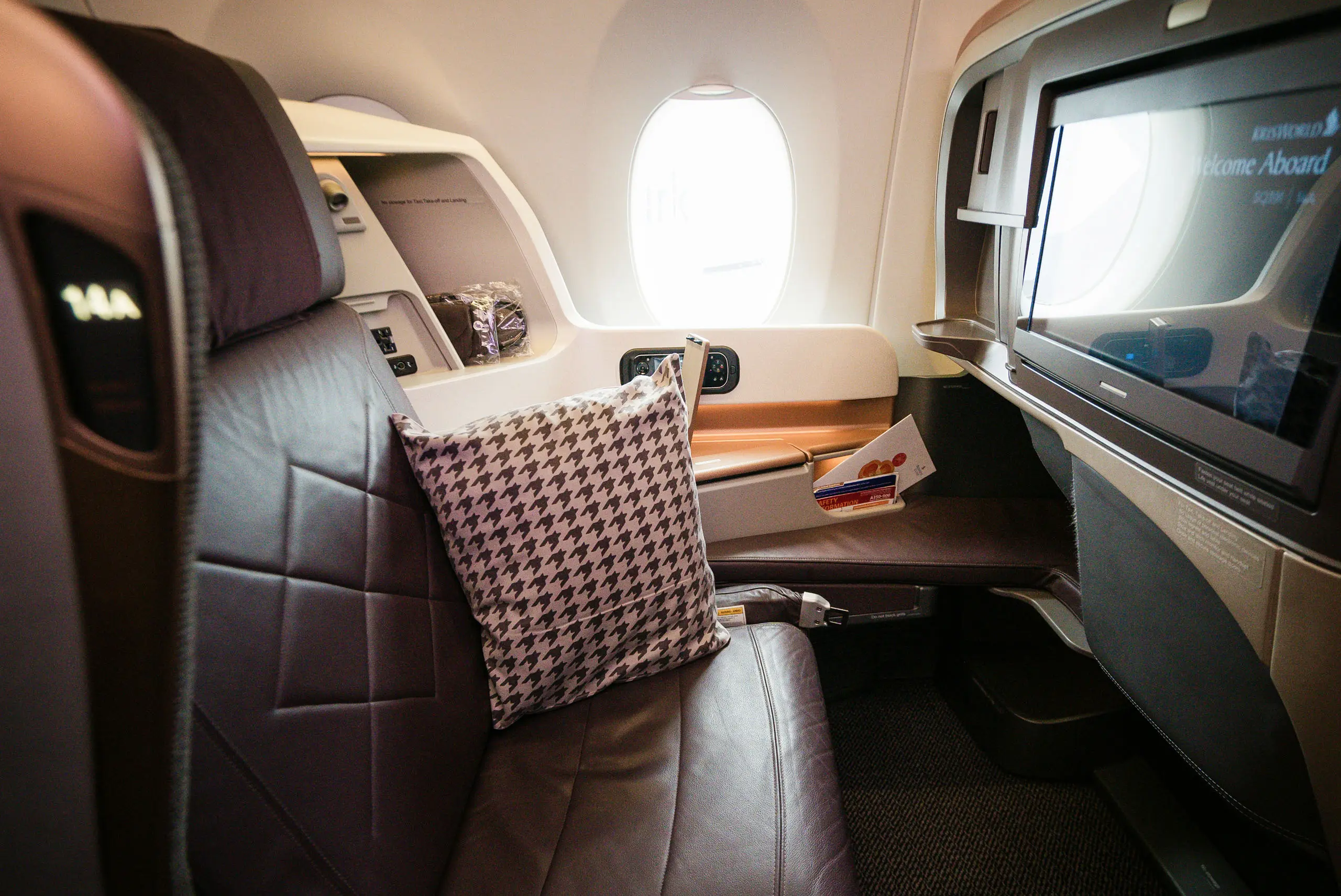 Business Class Flight Seat