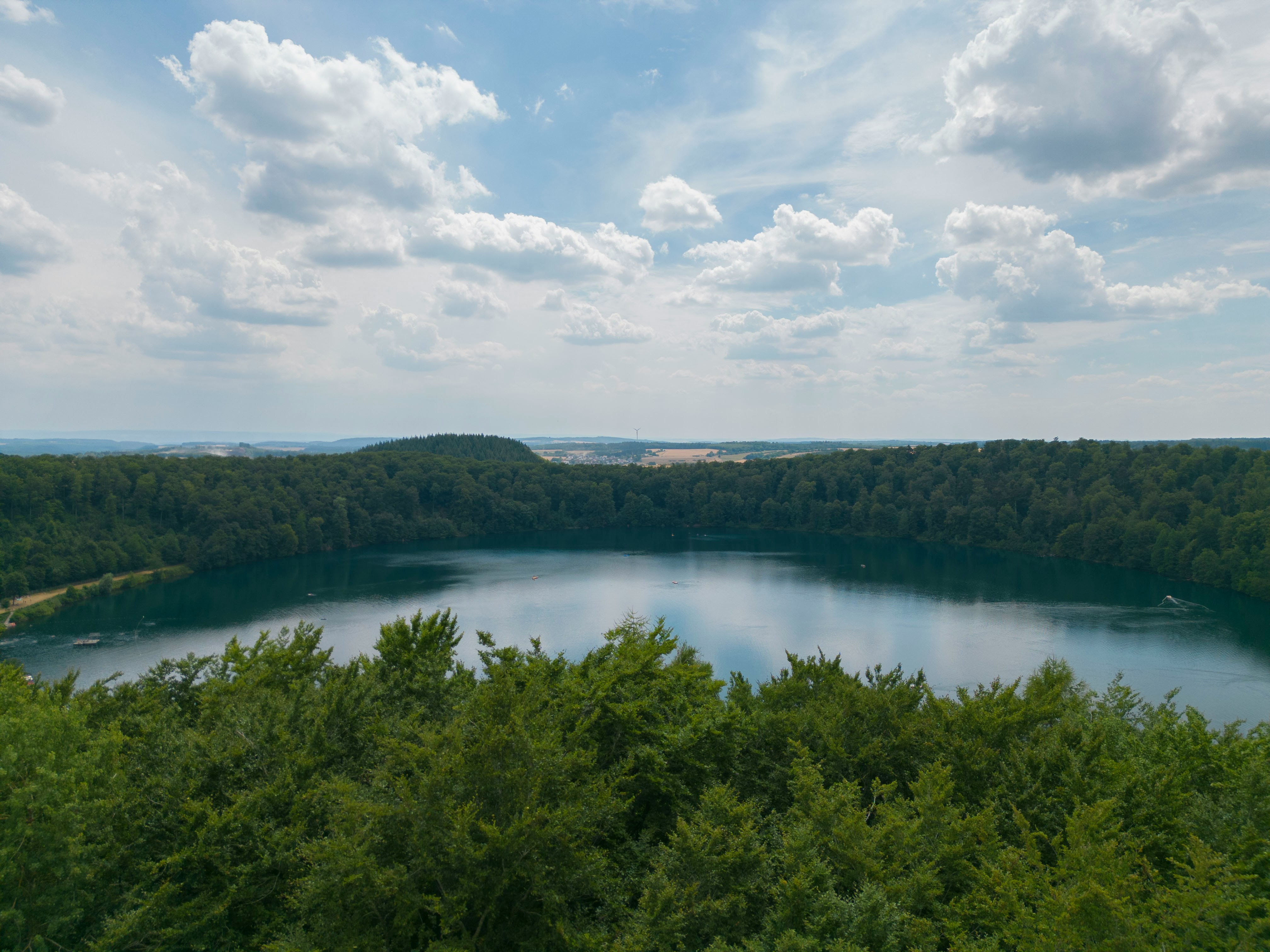 Bäume und ein See