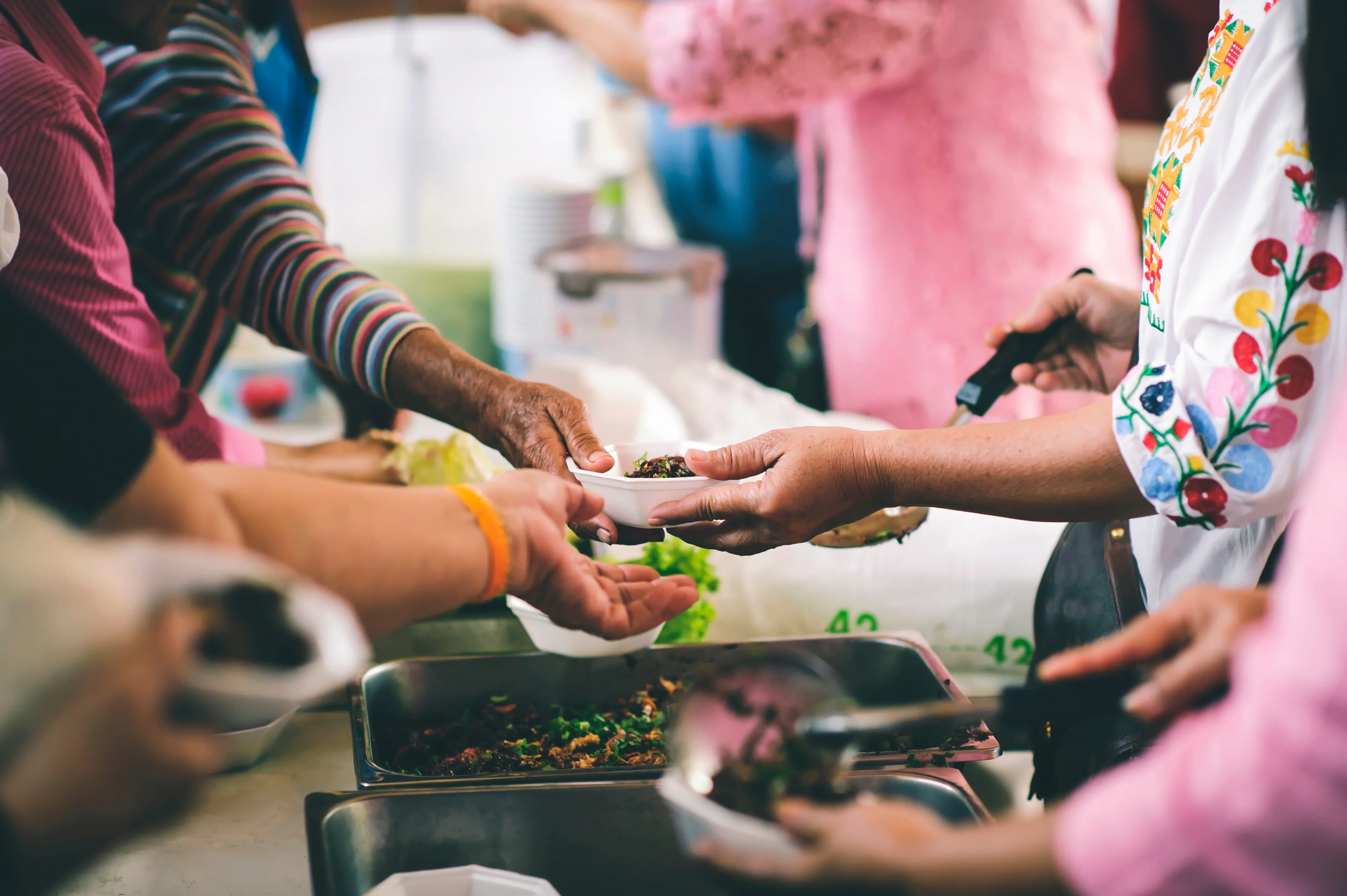 Humanitarian Travel Donate Food