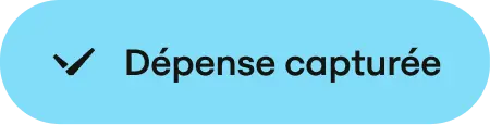 Fr Tab Expense Captured