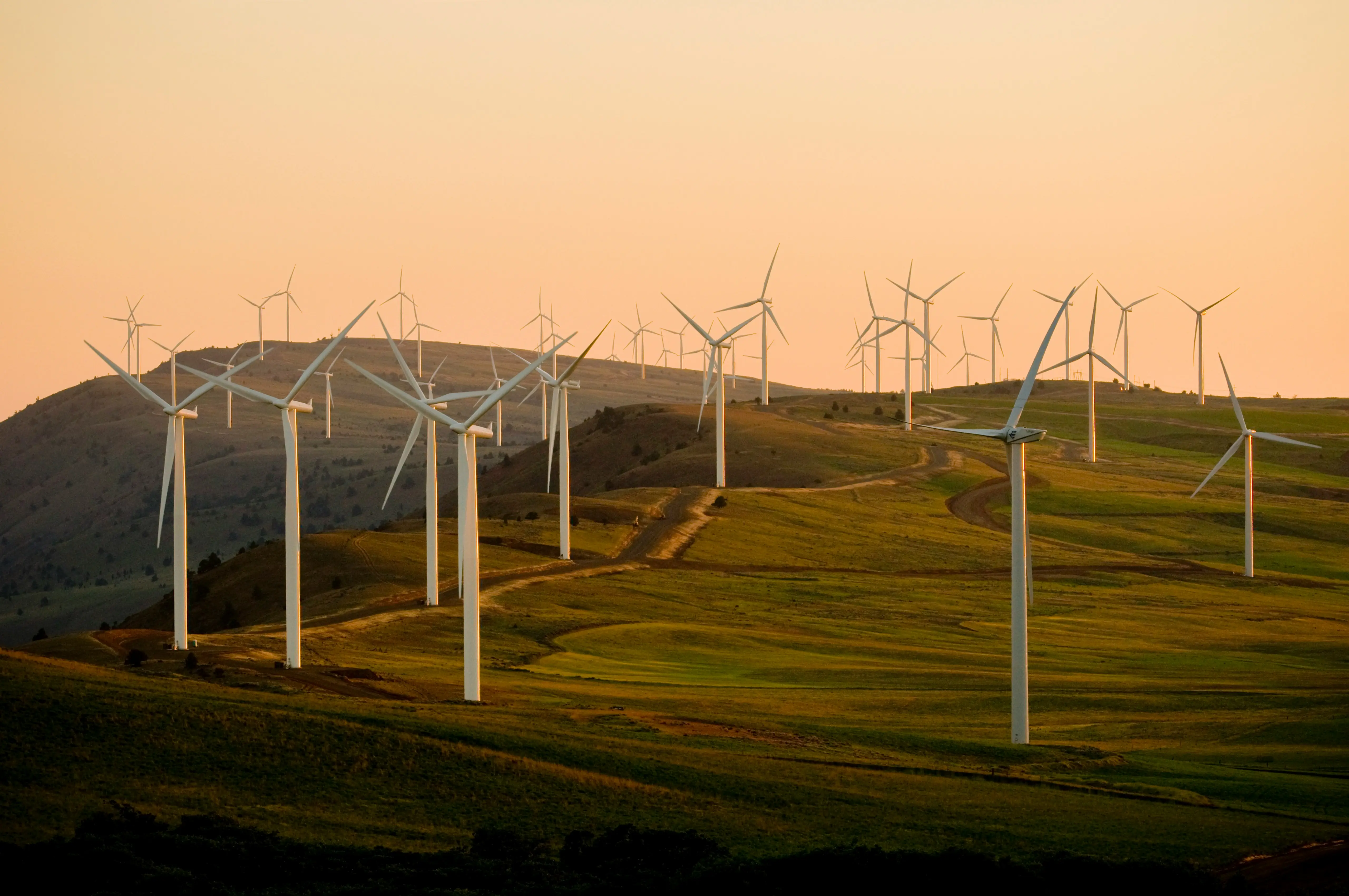 Sustainability Wind Renewal Energy