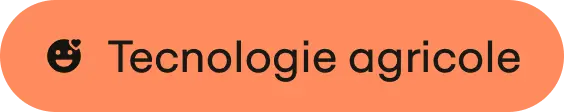 It Product Ui Label 2