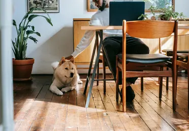 Turning business travel into lifestyle wins: why 73% of execs bring family, friends or pets on work trips