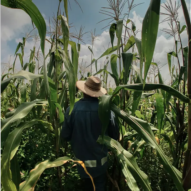 Us Photography Agriculture Technology