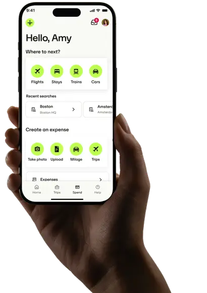 Main widget