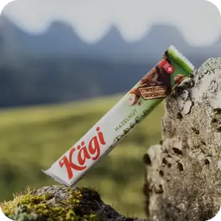 Kägi Söhne
