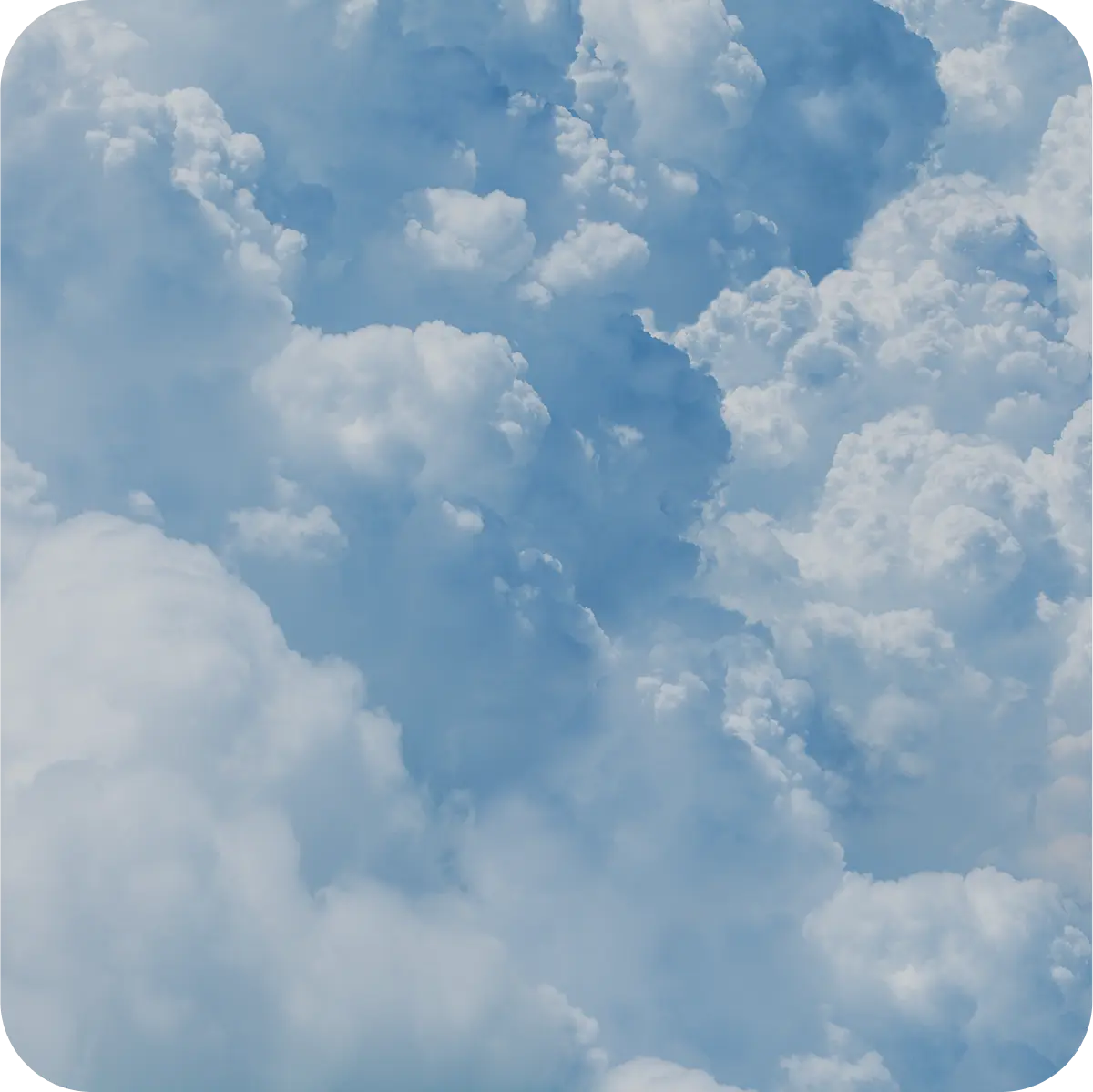 Case Study Skycell