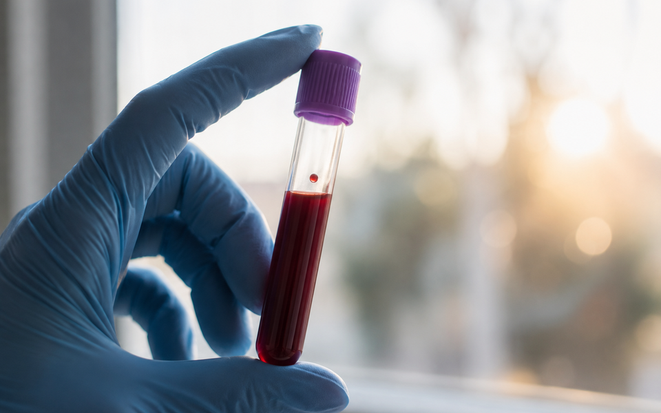 A gloved hand holding a single tube of blood in warm daylight