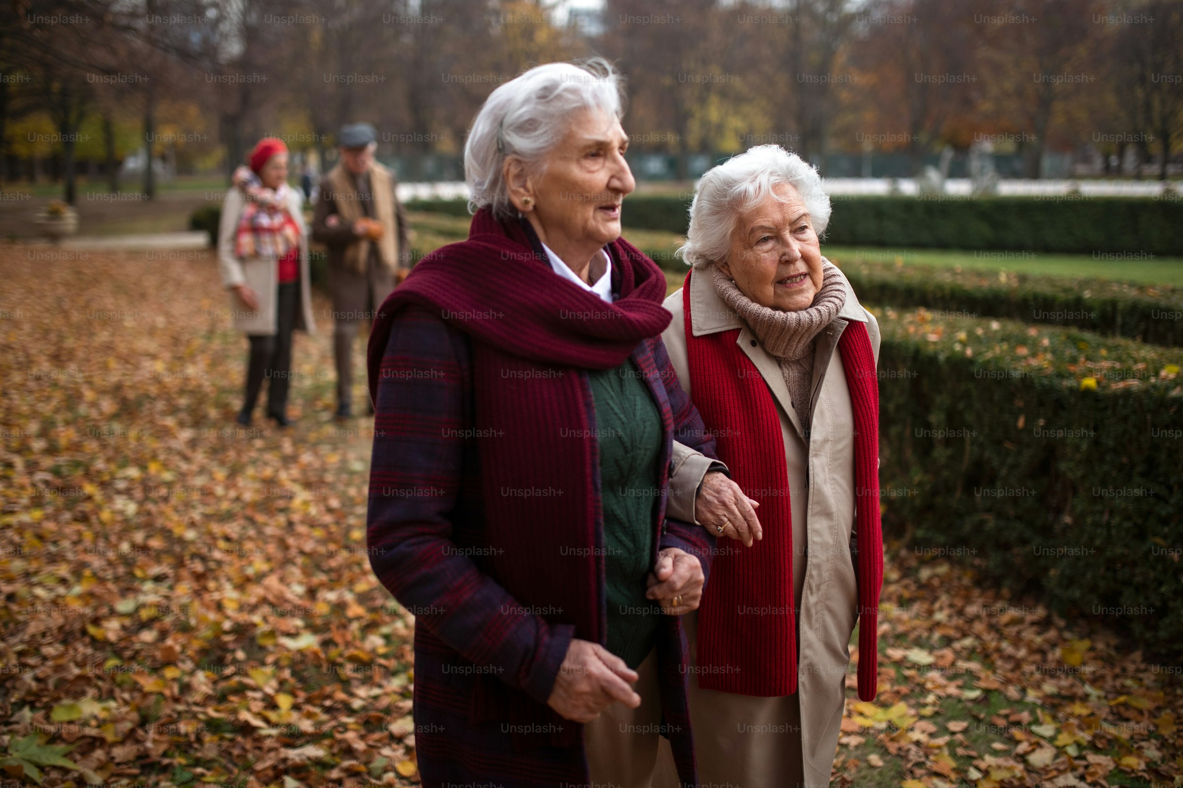 Two women friends walking together