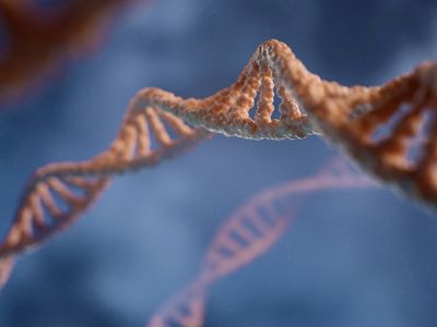 Genetic & Epigenetic Testing