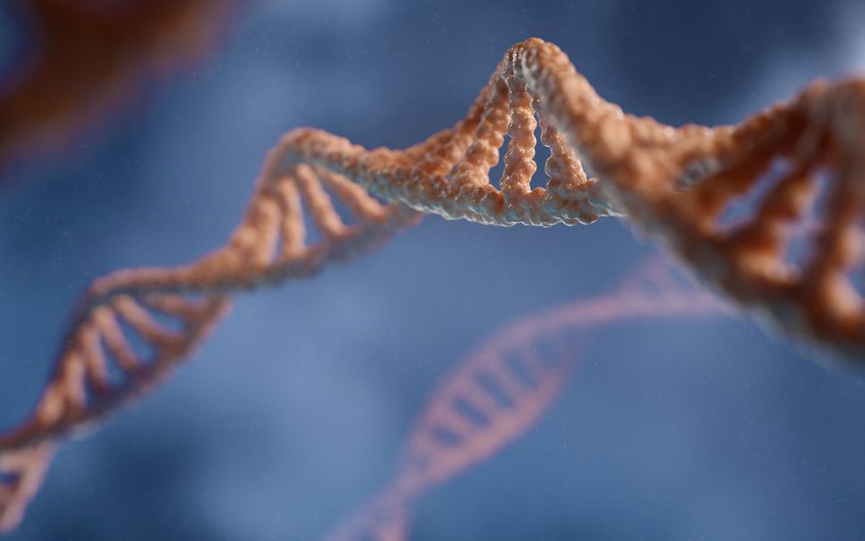 Genetic & Epigenetic Testing