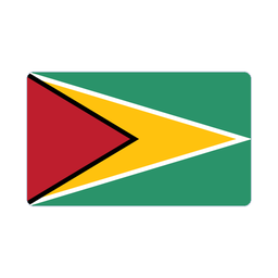 Flag of Guyana