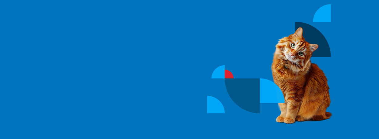 Happy dog and cat with BMO branding