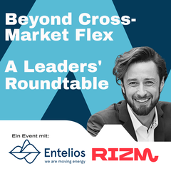 Beyond Cross-Market Flexibility - mit Entelios