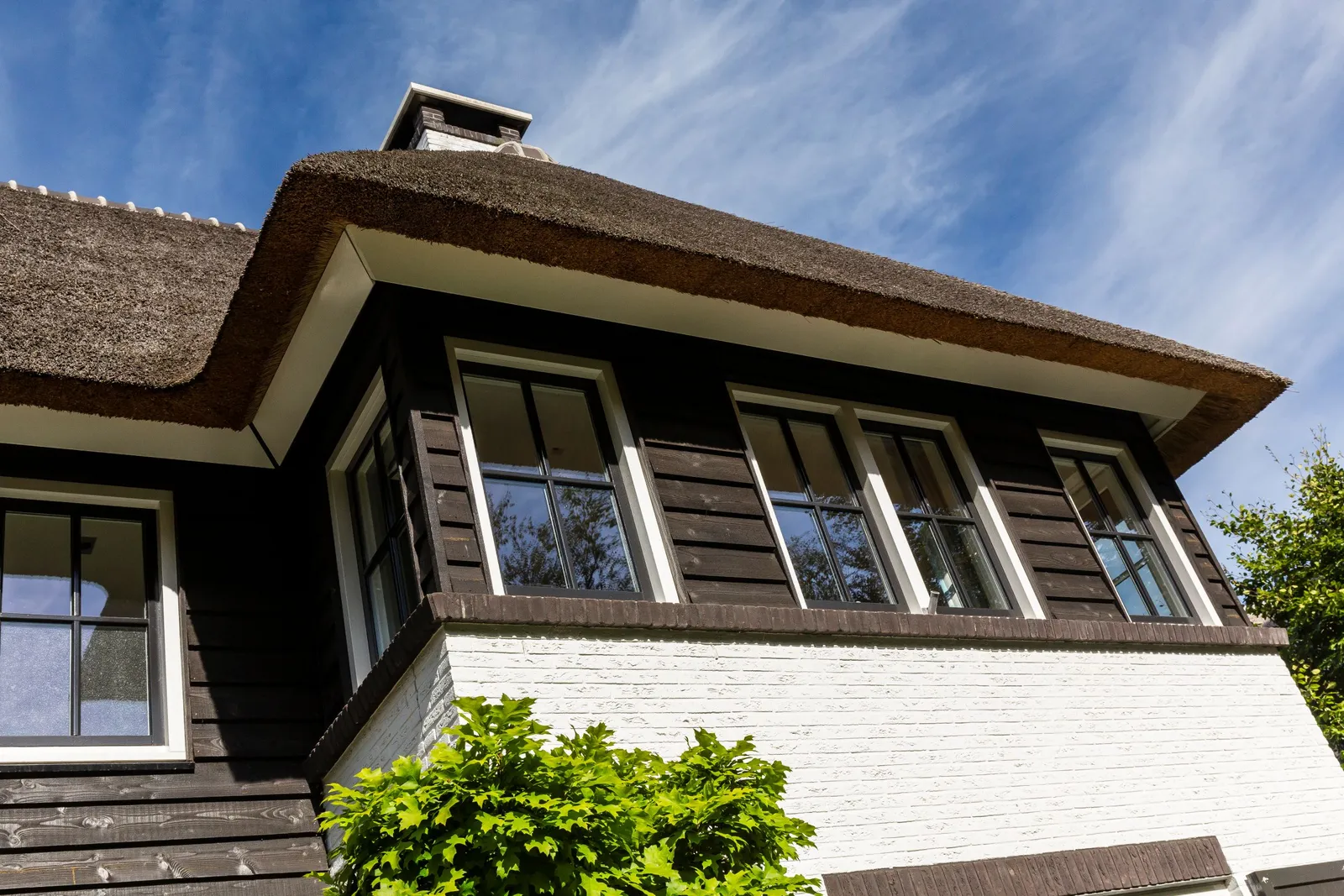 Geschakelde villa met rieten dak Lichtenberg Bouwgroep