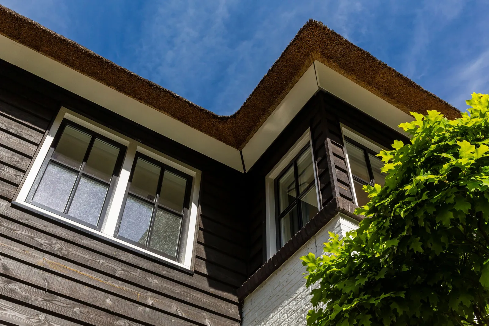 Geschakelde villa met rieten dak Lichtenberg Bouwgroep