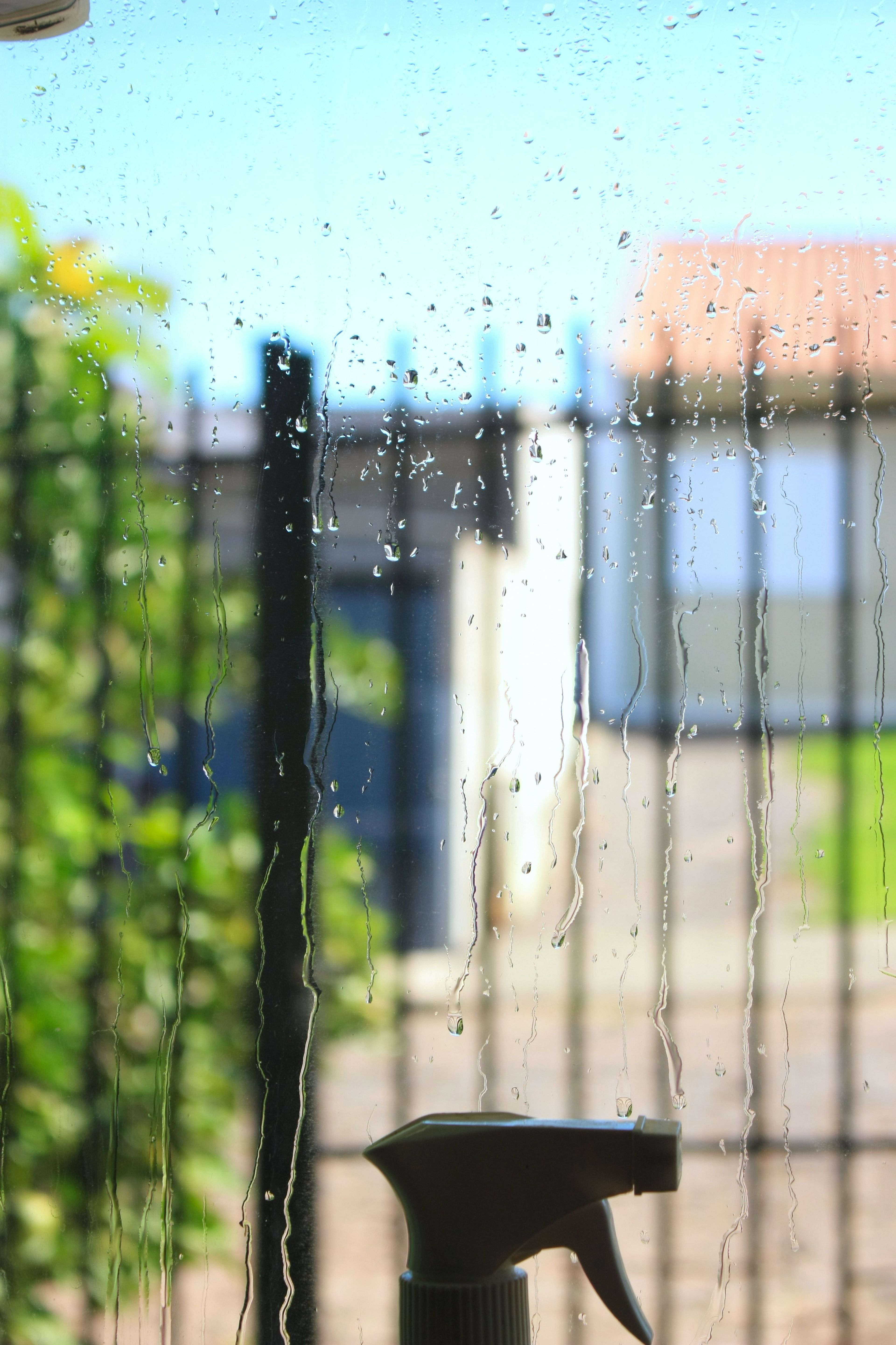 Spray bottle silhouette against a window with water droplets, blurred outdoor view with greenery and a metal fence.