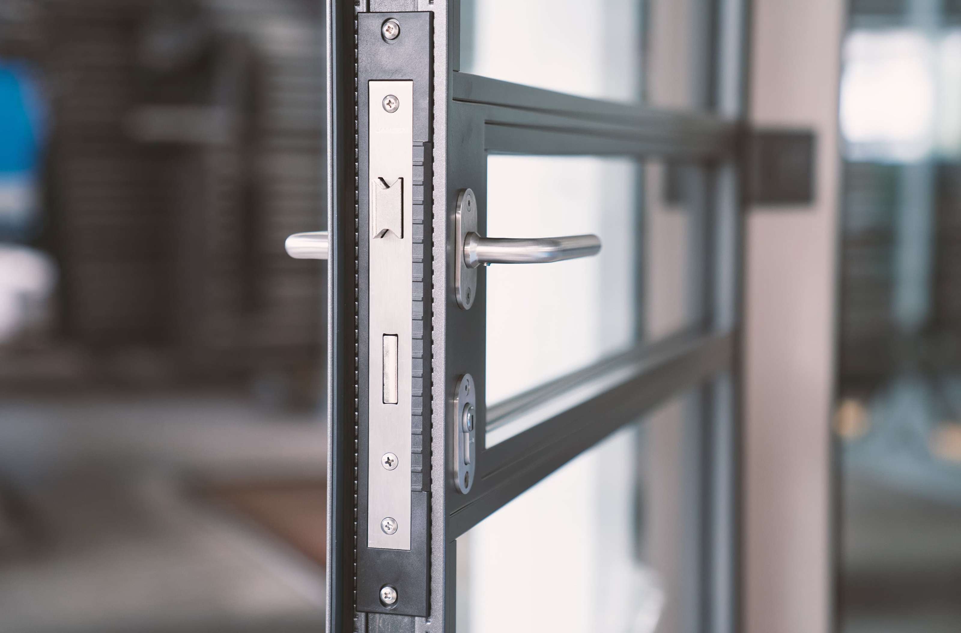 The Fluid External Steel Door