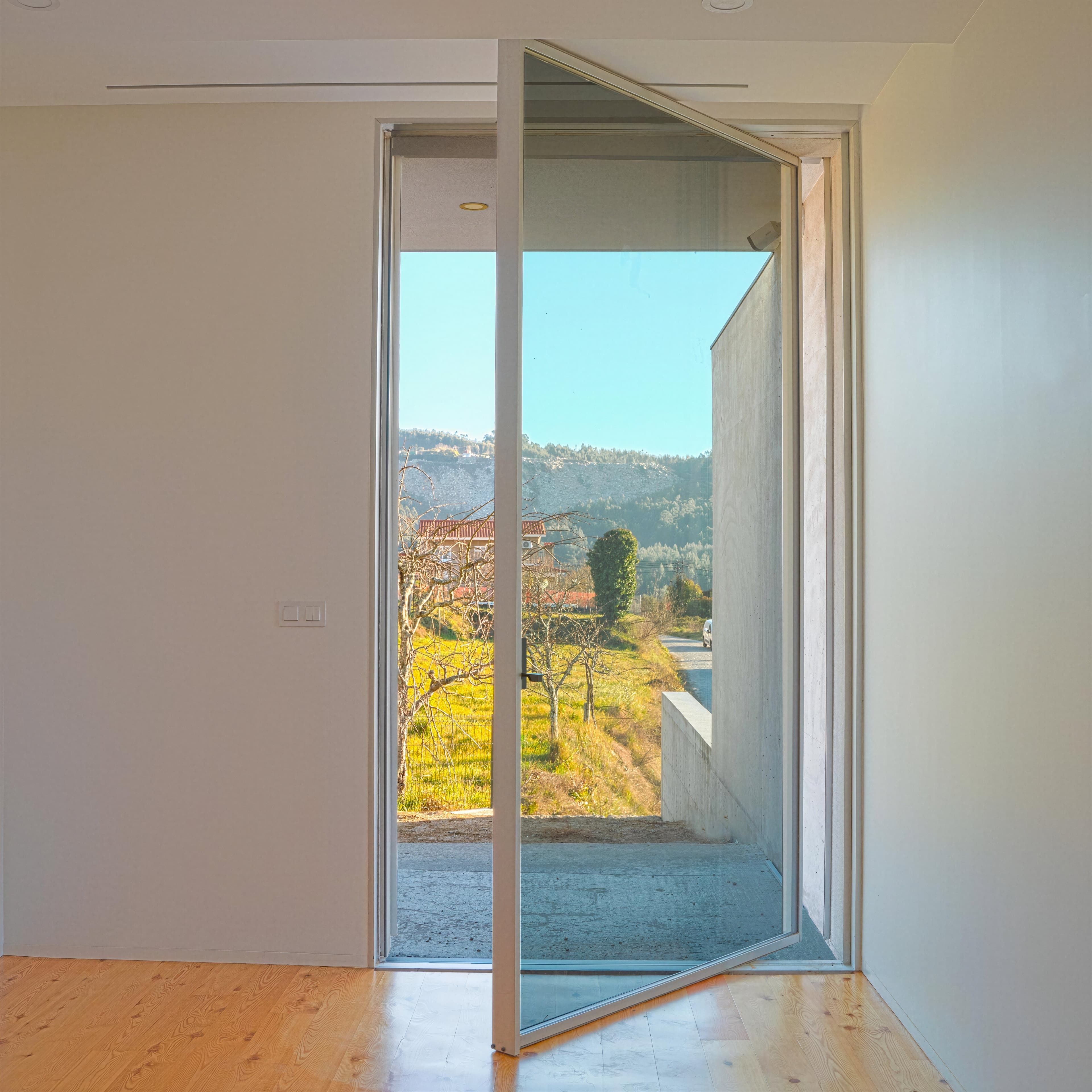 Fluid X Pivot Door