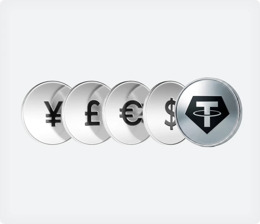 Fiat currency and stablecoin coins