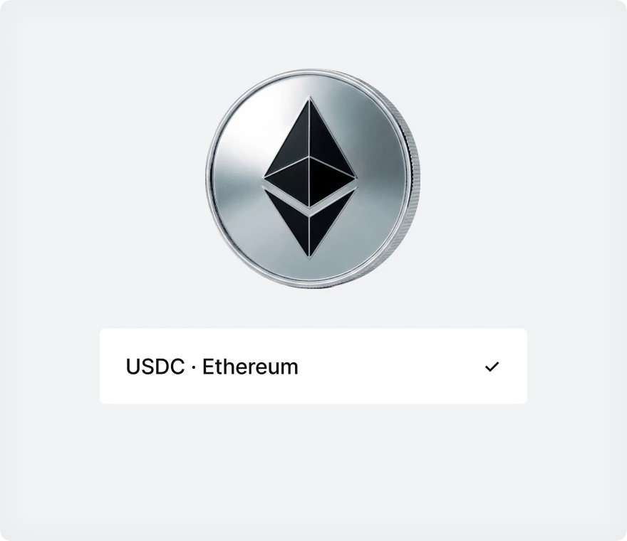 Choosing the settlement network
