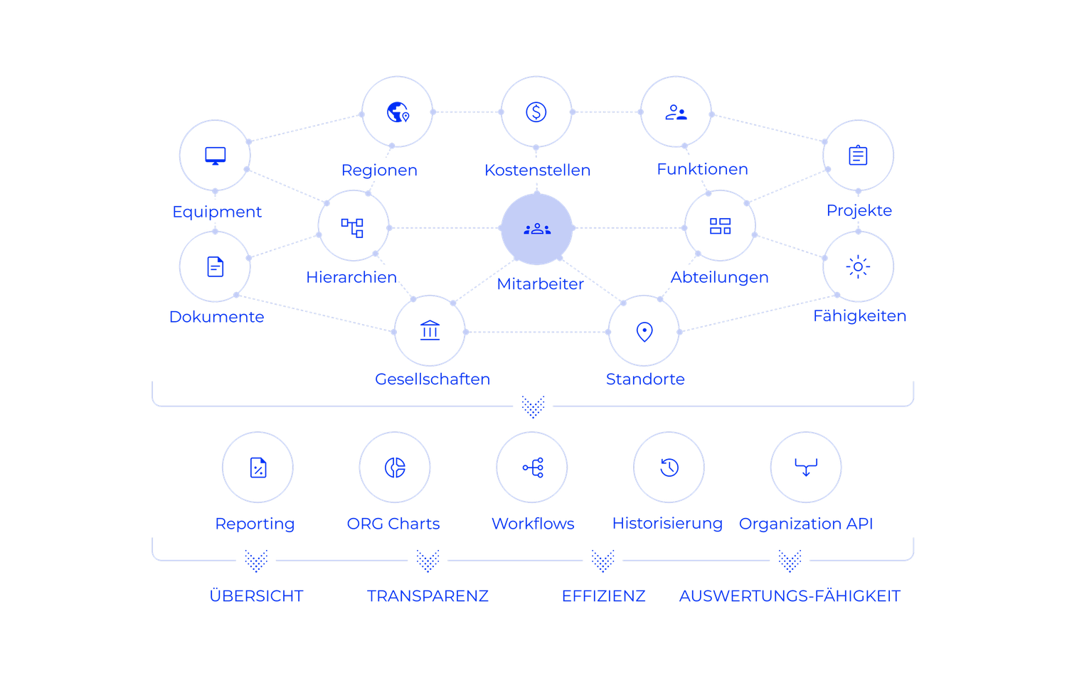 Organizational Data Manager von Goldright: dynamisches Organigramm der Organisationsstruktur
