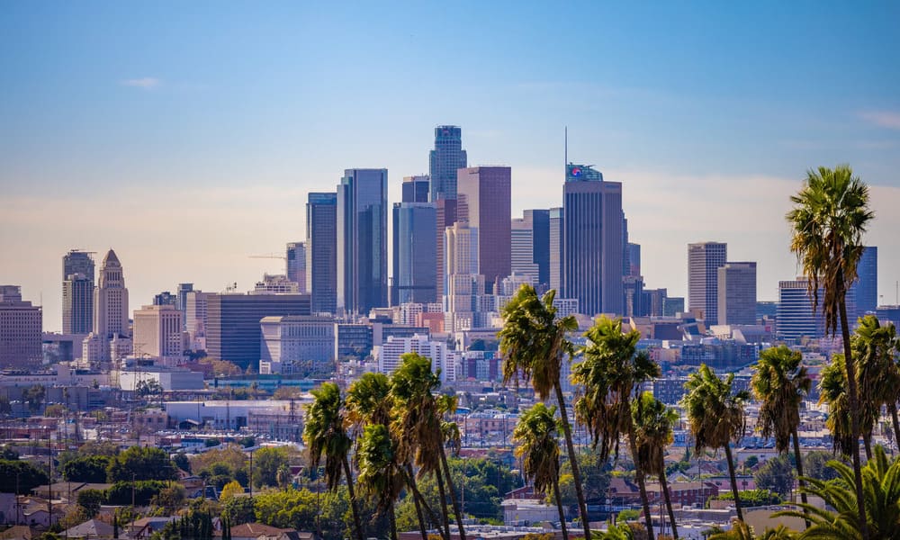 Skyline of a city with tall skyscrapers under a clear blue sky, framed by palm trees in the foreground.