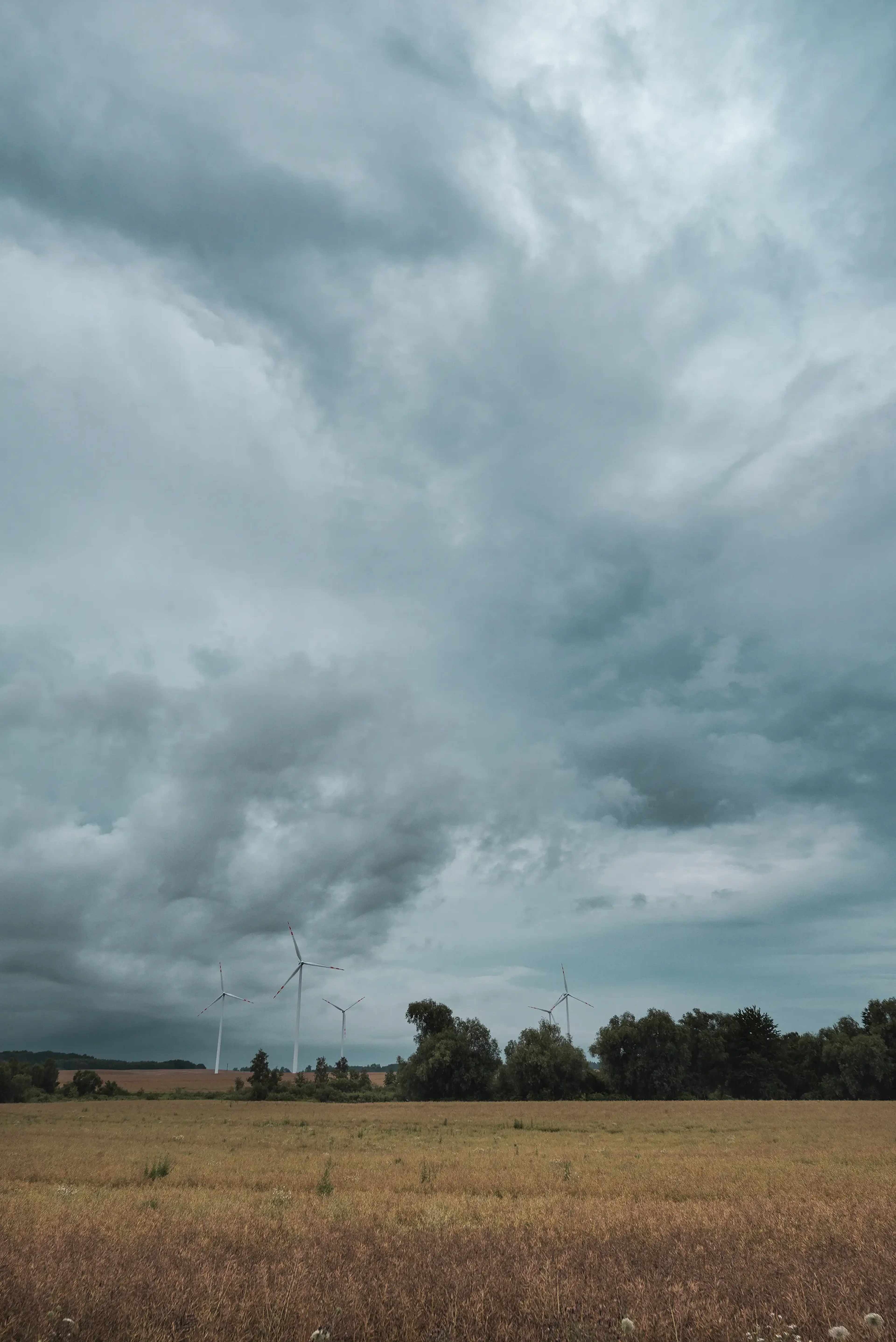 Wind turbines stand against a cloudy sky over a field with trees on the horizon.