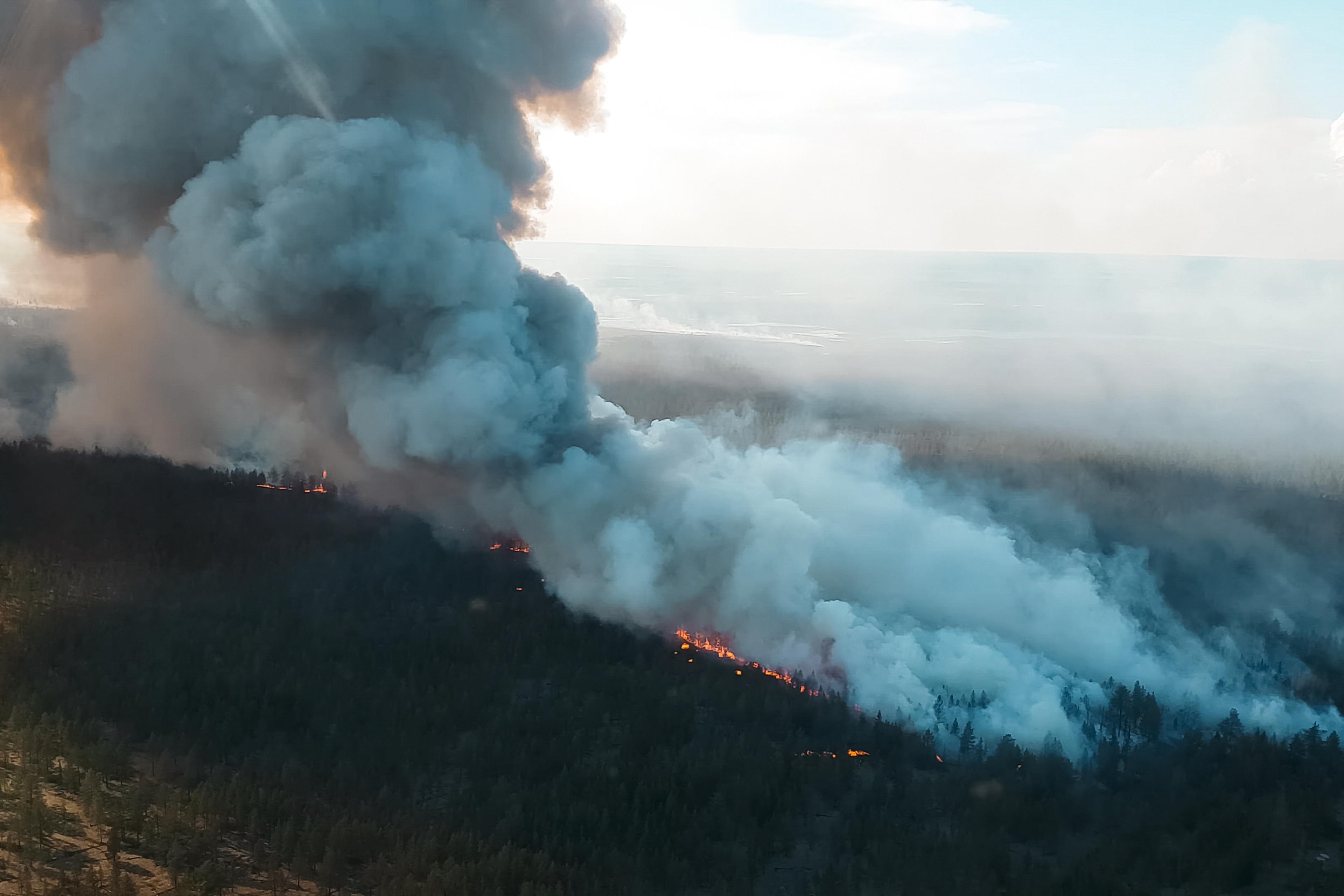 Aerial view of a forest fire with thick, gray smoke billowing upward and bright flames visible along the treetops below.