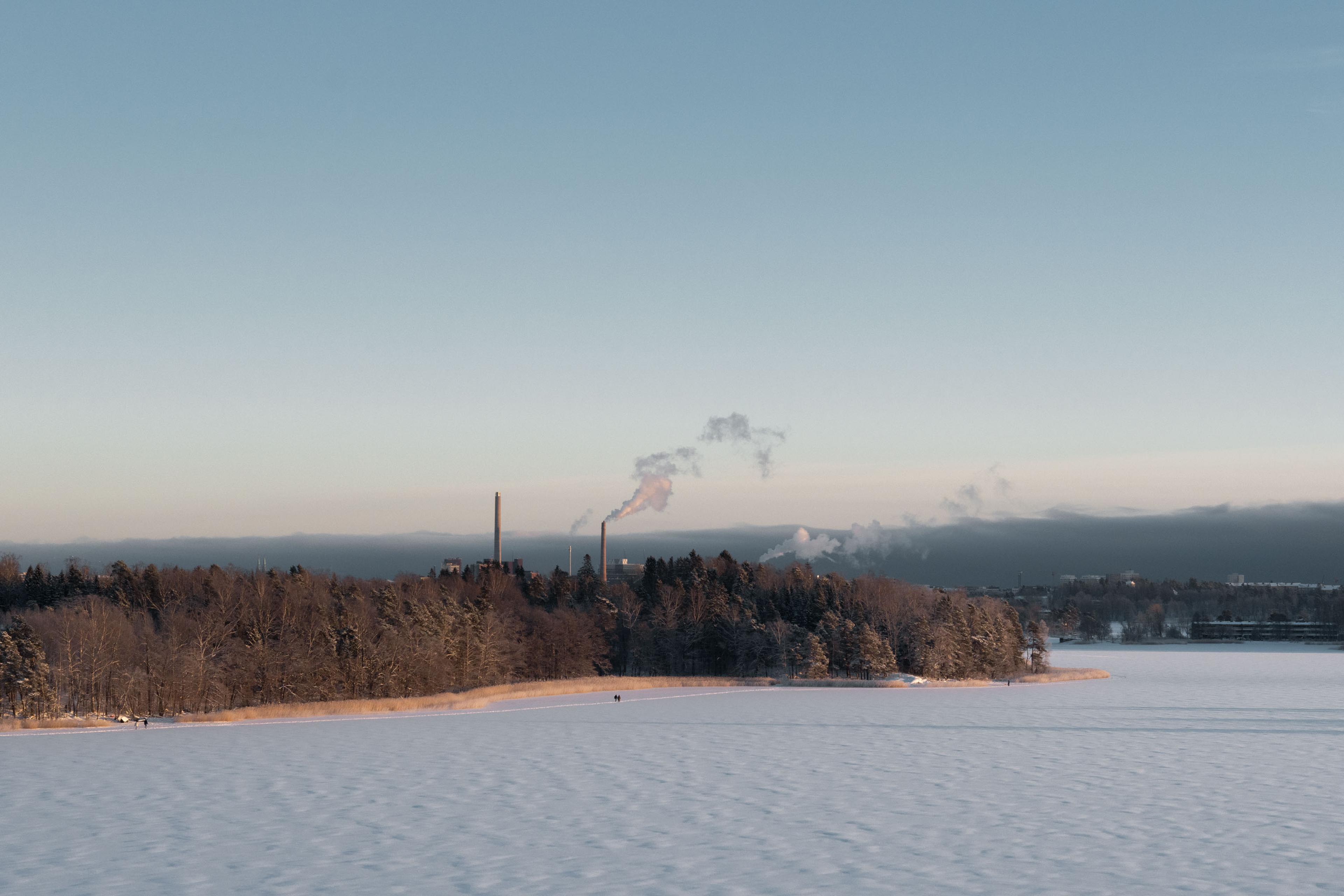 Snow-covered landscape with a row of trees and distant district heating chimneys omitting steam